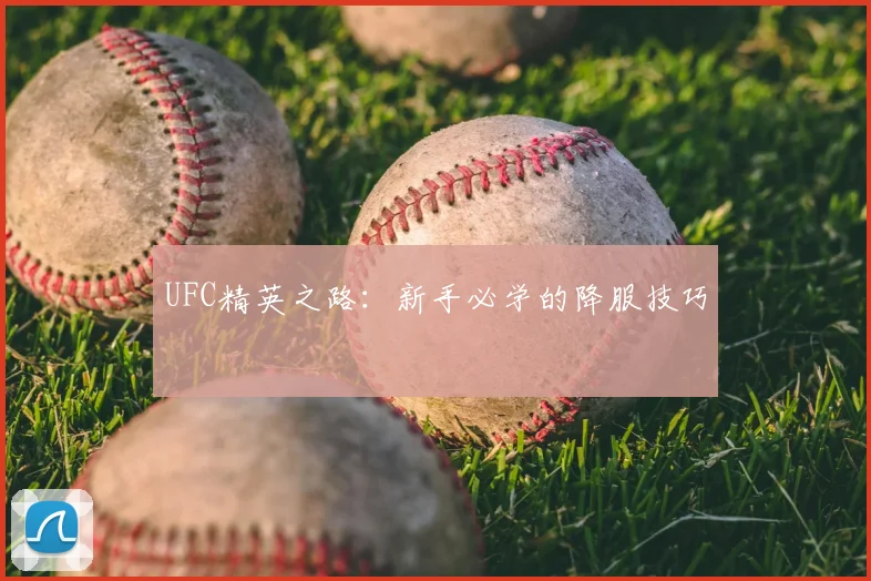 UFC精英之路：新手必学的降服技巧