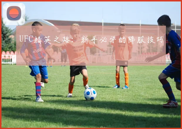 UFC精英之路:新手必学的降服技巧