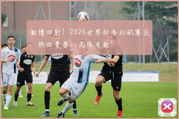 激情四射!2026世界杯洛杉矶赛区,热血青春,无限可能!