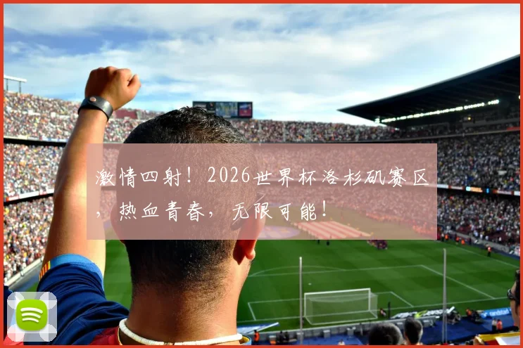 激情四射!2026世界杯洛杉矶赛区,热血青春,无限可能!