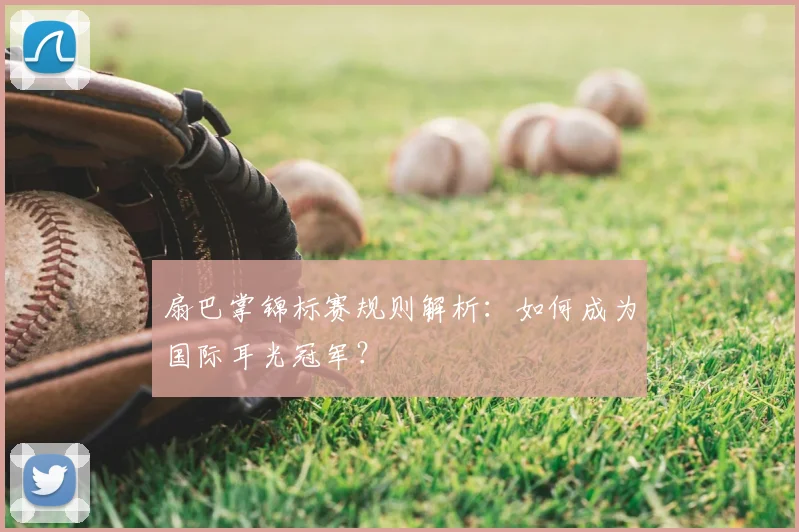 扇巴掌锦标赛规则解析:如何成为国际耳光冠军?