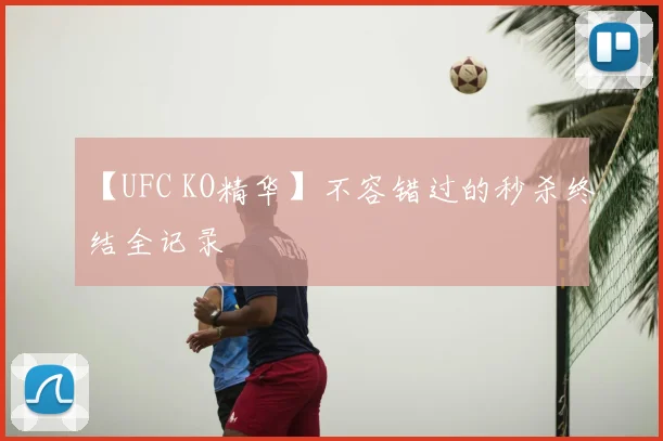 【UFC KO精华】不容错过的秒杀终结全记录